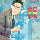 배호 골든힛트 집대성 Vol.2