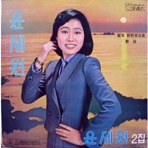 윤세원 2집 (별빛맑은곳으로/환상)