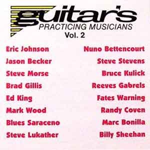 Guitar's Practicing Musicians Vol.2