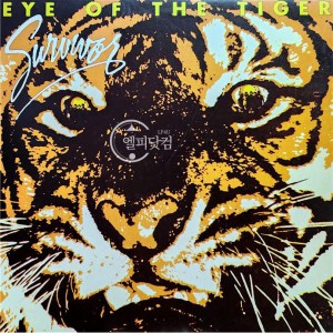 Survivor(서바이버) / Eye Of The Tiger