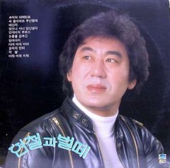 현철과 벌떼 / 추억의 테헤란로/잊어야지