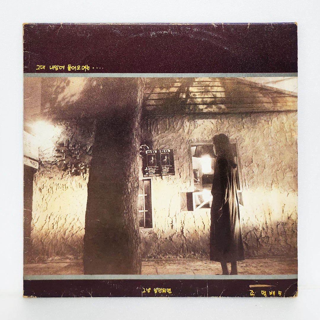 조덕배 5집 - 그대 내맘에 들어오며는 [초반 LP]