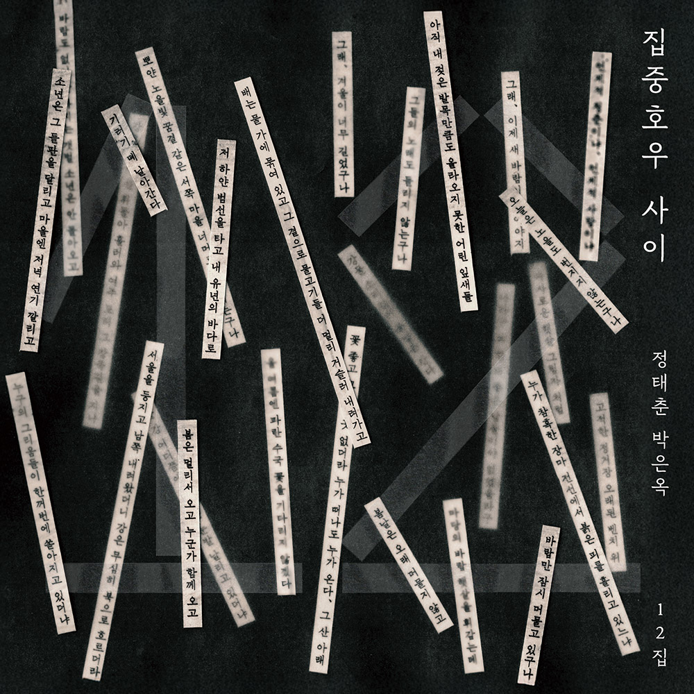 정태춘, 박은옥 12집 - 집중호우 사이 [미개봉, 신보LP]